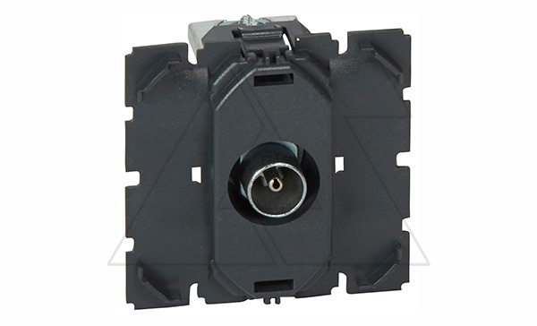 Celiane - Розетка TV простая, 0-2400 МГц, без лицевой панели