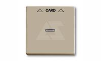 Basic 55 - Лицевая панель для выключателя с ключом-карточкой механизм 2025U (шампань)