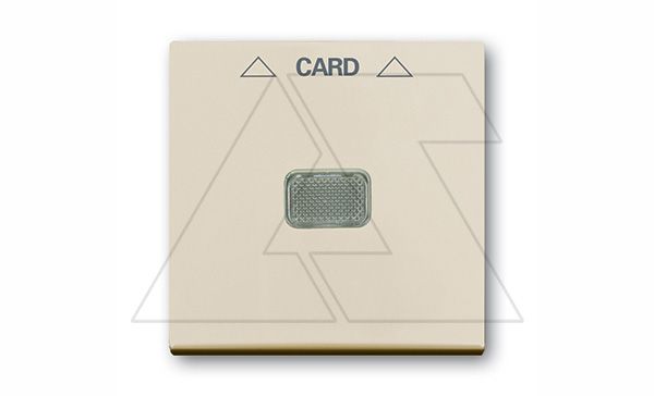 Basic 55 - Лицевая панель для выключателя с ключом-карточкой механизм 2025U (сл.кость)