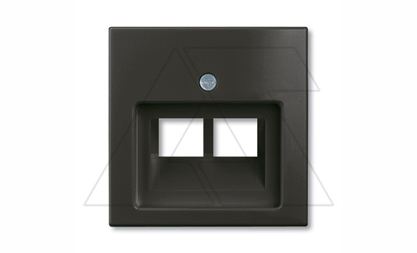 Basic 55 - Лицевая панель для двойной информационной розетки (шато-черный)