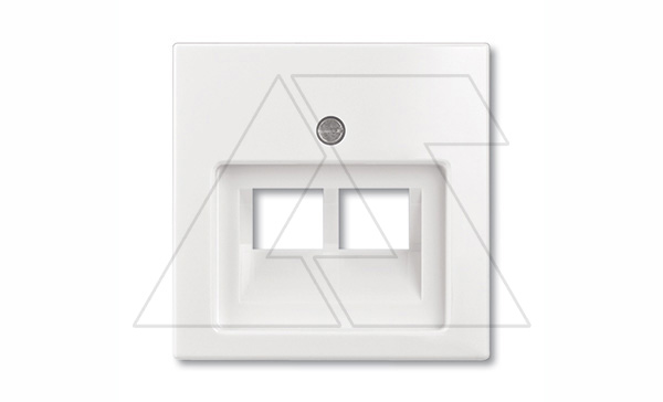 Basic 55 - Лицевая панель для двойной информационной розетки (белый)
