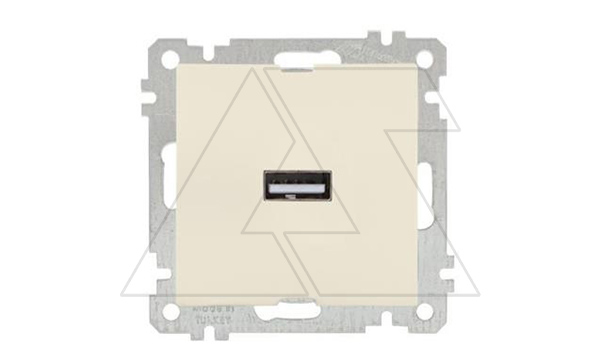 21 - Розетка 1xUSB Type A, сл.кость