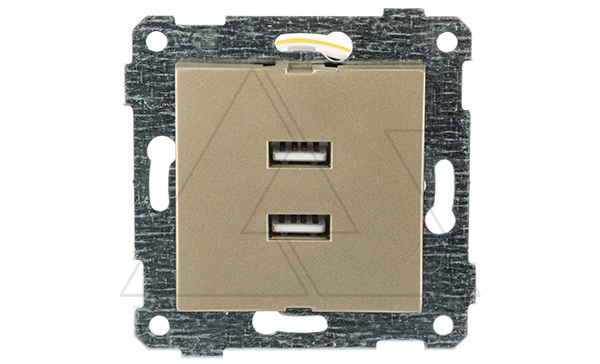 Rita - Розетка 2xUSB Type A, золото доре
