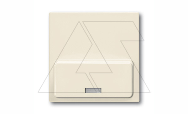 Basic 55 - Лицевая панель для Busch-iDock 8218U (сл.кость)