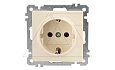 21 - Розетка 2P+E, сл.кость от интернет-магазина amperkin.by