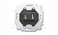 Basic 55 - Розетка 2хUSB (лицевая накладка для акустических и 2xUSB розеток заказывается отдельно) от интернет-магазина amperkin.by