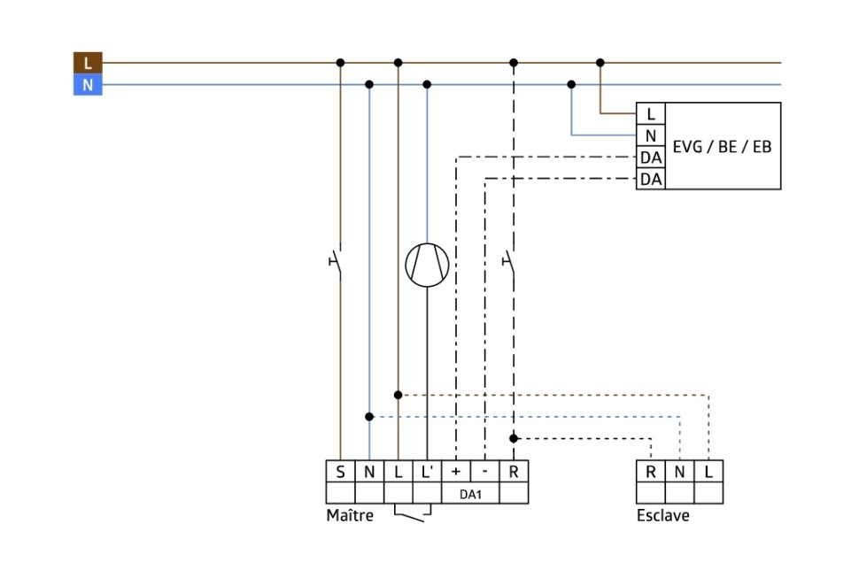 Датчик присутствия B.E.G. PD4-M-DALI/DSI-1C-SM от интернет-магазина amperkin.by