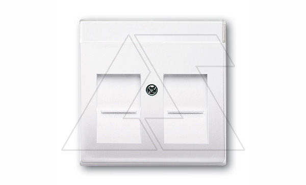 Basic 55 - Лицевая панель для двойной информационной розетки с полем для надписи (белый)