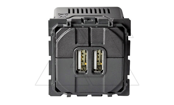 Celiane - Розетка 2хUSB с зарядным устройством 2400мА, Type A, без лицевой панели