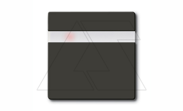 Basic 55 - Обрамление для инфракрасного выключателя 6815U,6816U,40-300Вт (шато-черный)