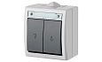 AQUANT - Переключатель для роллет двухклавишный, 10A/250V, ABS ,UV, IP55, корпус RAL7035/кнопка RAL7043 от интернет-магазина amperkin.by