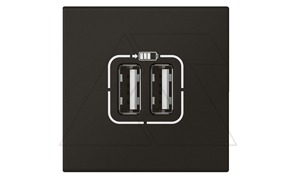 Mosaic - Розетка 2xUSB Type A, 2М, 5V, 2400mA, винт. зажимы, матовый черный